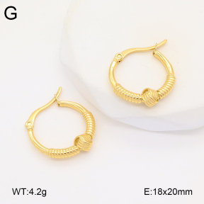 2E2005942vbnb-686  Stainless Steel Earrings