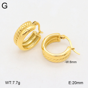 2E2005943bbov-686  Stainless Steel Earrings