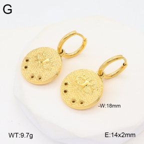 2E2005946vbmb-686  Stainless Steel Earrings