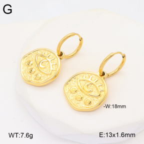 2E2005948vbmb-686  Stainless Steel Earrings