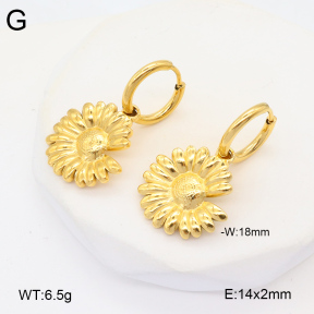 2E2005950vbmb-686  Stainless Steel Earrings