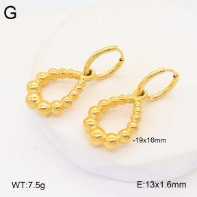 2E2005951vbmb-686  Stainless Steel Earrings