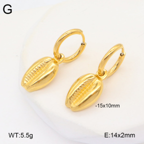 2E2005953vbmb-686  Stainless Steel Earrings