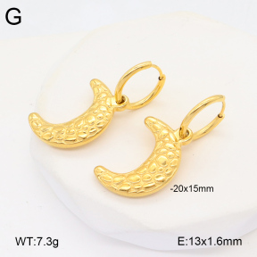 2E2005954vbmb-686  Stainless Steel Earrings