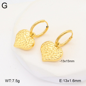 2E2005955vbmb-686  Stainless Steel Earrings