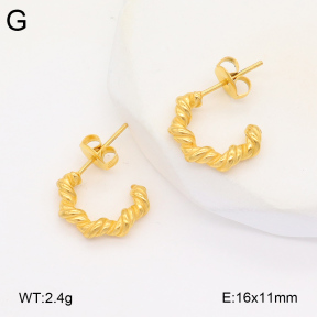 2E2005956vbmb-686  Stainless Steel Earrings