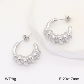 2E2005959vbnb-686  Stainless Steel Earrings