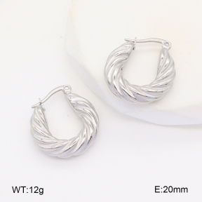 2E2005960vbnb-686  Stainless Steel Earrings