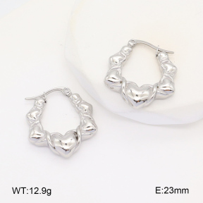 2E2005962ablb-686  Stainless Steel Earrings