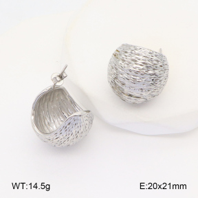 2E2005963vbnb-686  Stainless Steel Earrings