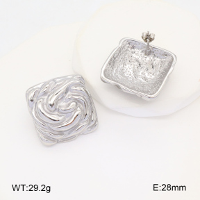 2E2005964vbnb-686  Stainless Steel Earrings