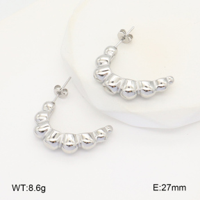 2E2005965vbnb-686  Stainless Steel Earrings