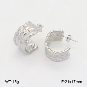 2E2005966vbnb-686  Stainless Steel Earrings