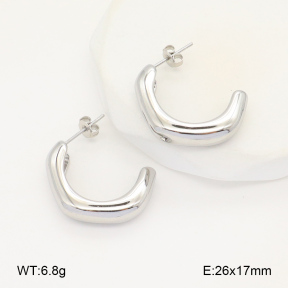 2E2005967vbnb-686  Stainless Steel Earrings