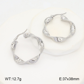 2E2005968vbnb-686  Stainless Steel Earrings