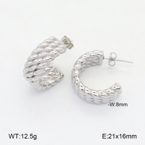 2E2005969vbnb-686  Stainless Steel Earrings