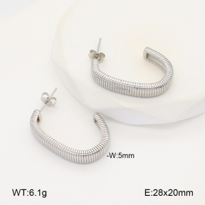 2E2005970vbnb-686  Stainless Steel Earrings