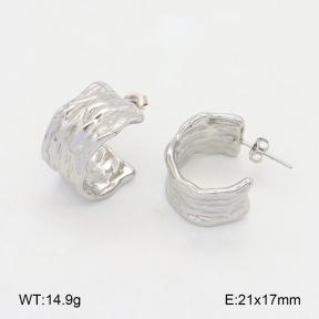 2E2005971vbnb-686  Stainless Steel Earrings