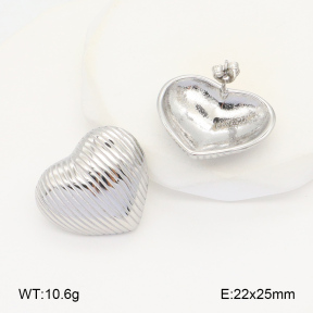 2E2005972vbnb-686  Stainless Steel Earrings