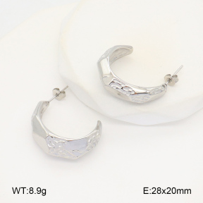 2E2005973vbnb-686  Stainless Steel Earrings