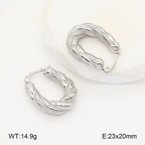 2E2005974vbnb-686  Stainless Steel Earrings