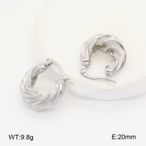 2E2005975vbnb-686  Stainless Steel Earrings