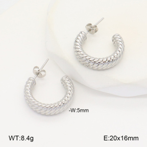 2E2005976vbnb-686  Stainless Steel Earrings