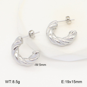 2E2005977vbnb-686  Stainless Steel Earrings