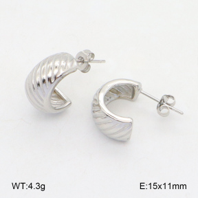 2E2005978vbmb-686  Stainless Steel Earrings