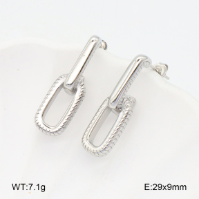 2E2005979vbnb-686  Stainless Steel Earrings