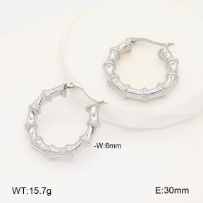 2E2005980vbnb-686  Stainless Steel Earrings
