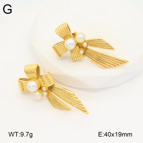 2E3003452vbpb-686  Stainless Steel Earrings