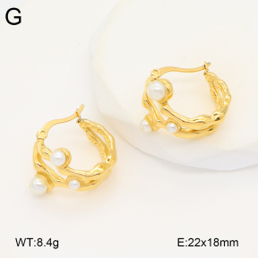 2E3003453vbpb-686  Stainless Steel Earrings
