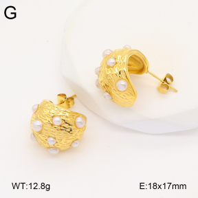 2E3003454vbpb-686  Stainless Steel Earrings