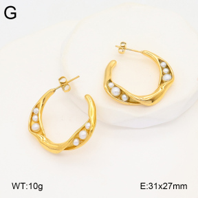 2E3003455vbpb-686  Stainless Steel Earrings