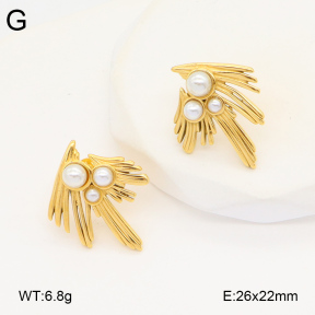 2E3003456vbpb-686  Stainless Steel Earrings