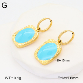2E3003457bbov-686  Stainless Steel Earrings
