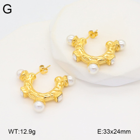2E3003458vbpb-686  Stainless Steel Earrings