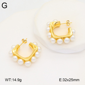 2E3003459vbpb-686  Stainless Steel Earrings