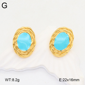 2E3003460bbov-686  Stainless Steel Earrings