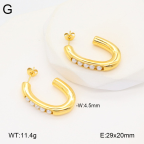 2E3003461vbpb-686  Stainless Steel Earrings