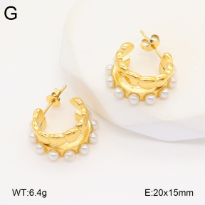 2E3003462bbov-686  Stainless Steel Earrings
