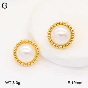 2E3003463bbov-686  Stainless Steel Earrings