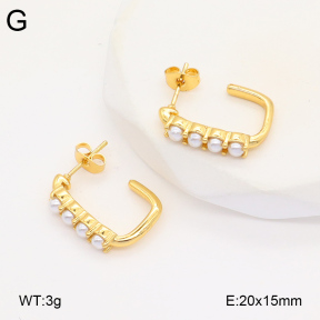 2E3003464bbov-686  Stainless Steel Earrings