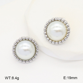 2E3003465vbnb-686  Stainless Steel Earrings