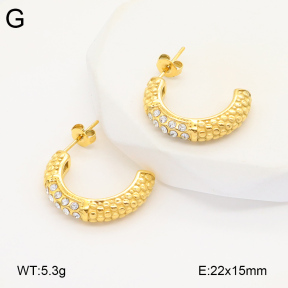 2E4004311bbov-686  Stainless Steel Earrings
