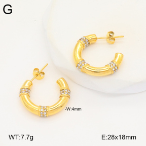 2E4004312vbpb-686  Stainless Steel Earrings