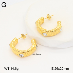2E4004313bbov-686  Stainless Steel Earrings