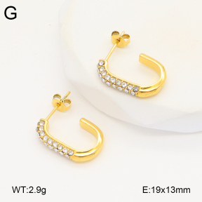 2E4004314bbov-686  Stainless Steel Earrings