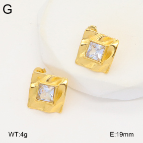 2E4004315vbpb-686  Stainless Steel Earrings